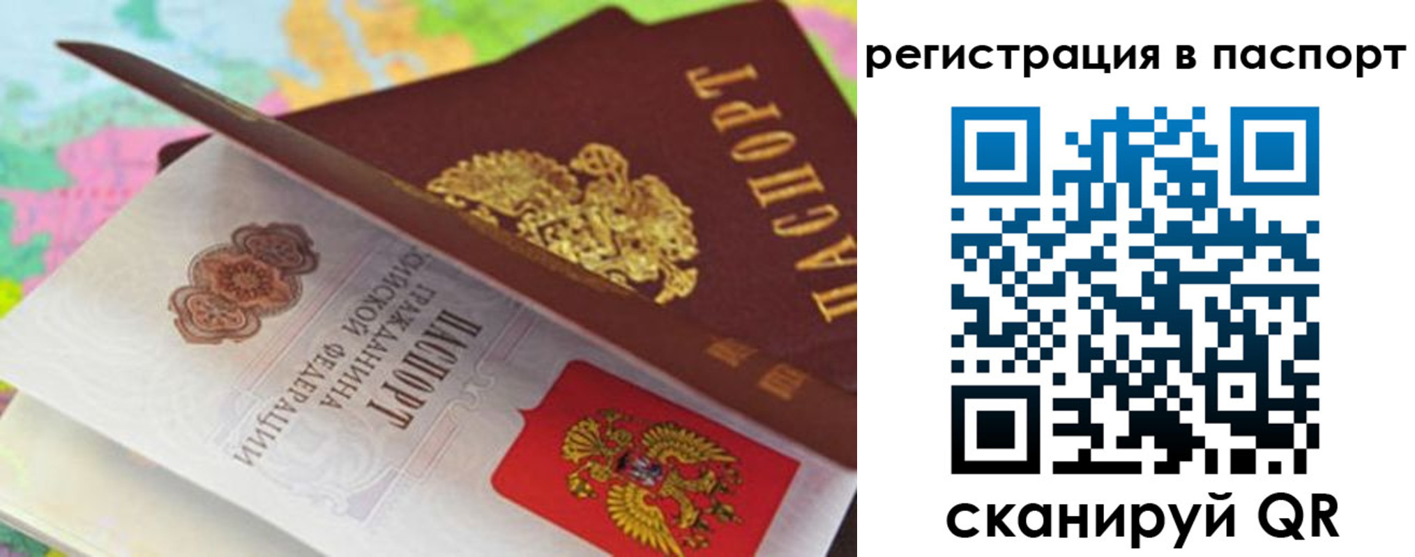 временная регистрация гарантия в Белгороде
